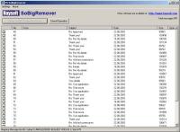 HS SoBigRemover 1.2 screenshot. Click to enlarge!