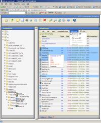HTTP Commander .NET 6.0 screenshot. Click to enlarge!