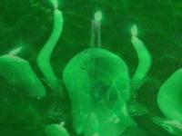 Haunted Waters Halloween Screensaver 2.0 screenshot. Click to enlarge!