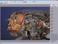 Helicon Focus Mac 4.0.4 screenshot. Click to enlarge!