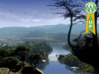 Hidden River - Animated 3D Wallpaper 5.07 screenshot. Click to enlarge!