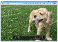 HoneyView Portable 5.21.4882 screenshot. Click to enlarge!