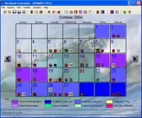 Hormonal Forecaster - Fertility Software 5.2 screenshot. Click to enlarge!