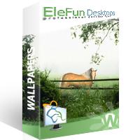 Horse in the mist - Animated Wallpaper for to mp4 4.39 screenshot. Click to enlarge!