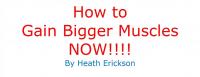 How to Gain Bigger Muscles and Make 1.0 screenshot. Click to enlarge!