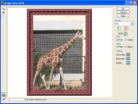 Image Frame 1.2 screenshot. Click to enlarge!