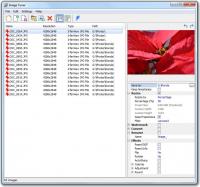 Image Tuner 6.3 screenshot. Click to enlarge!