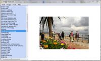 Image Vault 1.01 screenshot. Click to enlarge!