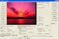 Image Viewer CP Gold ActiveX 10.5 screenshot. Click to enlarge!