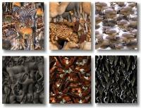 Imagelys Texture Pack #1 2 screenshot. Click to enlarge!