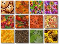 Imagelys Texture Pack #3 2 screenshot. Click to enlarge!
