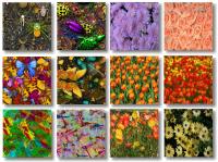Imagelys Texture Pack #4 2 screenshot. Click to enlarge!