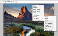 Imagus for Chrome 0.9.7.5 screenshot. Click to enlarge!