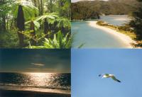 Impressions of New Zealand 1.0 screenshot. Click to enlarge!