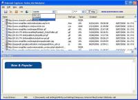 Index.dat Analyzer 2.5 screenshot. Click to enlarge!
