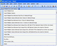 Insert Multiple Rows and Columns in Excel 3.3.18 screenshot. Click to enlarge!