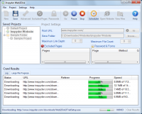 Inspyder Web2Disk 5.0.1.8635 screenshot. Click to enlarge!