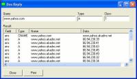 Interactive DNS Query 1.2 screenshot. Click to enlarge!