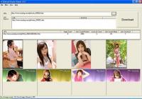 Internet Graphic Hunter 2.0 screenshot. Click to enlarge!