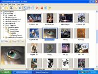 Internet Image Browser 1.2 screenshot. Click to enlarge!