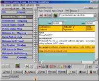 Internet Organizer Deluxe 3.71 screenshot. Click to enlarge!