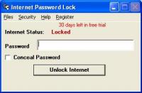 Internet Password Lock 9.0.0 screenshot. Click to enlarge!