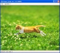 J2K-Codec 2.2.0.18266 screenshot. Click to enlarge!