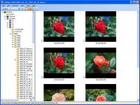 JMG Photo Printer 1.54.0.12 Beta screenshot. Click to enlarge!