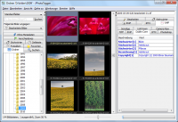 JPhotoTagger 0.34.5 screenshot. Click to enlarge!
