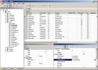 JSPMaker 1.1.0 screenshot. Click to enlarge!