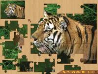 JigSaw 4000 1.0 screenshot. Click to enlarge!