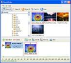 JoyceCD 2.1 screenshot. Click to enlarge!