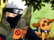 Kakashi Screensaver 1.0 screenshot. Click to enlarge!