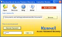 Kernel Access Password Recovery Software 4.02 screenshot. Click to enlarge!