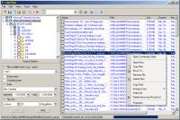 LAN Find 3.1 screenshot. Click to enlarge!