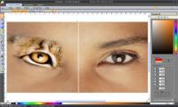 Labography 7.05 screenshot. Click to enlarge!