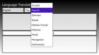 Language Translator Pro 1.0.0.0 screenshot. Click to enlarge!