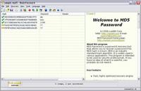 Lastbit MD5 Password Recovery 4.0.1135 screenshot. Click to enlarge!