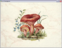 Les Champignons 2.0.0.7 screenshot. Click to enlarge!