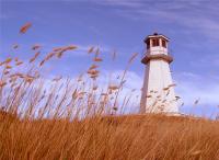 Lighthouse Gallery Screensaver 2.0 screenshot. Click to enlarge!