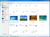 LiteManager 4.8.4832 screenshot. Click to enlarge!