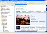 Lively Browser 4.3.0 screenshot. Click to enlarge!