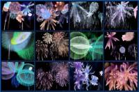 MBSS Fireworks 2.2 screenshot. Click to enlarge!