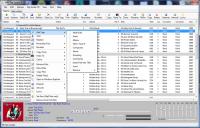 MP3 Tag Express 6.9.3 screenshot. Click to enlarge!
