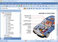 Maple Professional 8.51 screenshot. Click to enlarge!