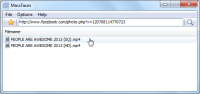 MassFaces 4.2.5.142 screenshot. Click to enlarge!