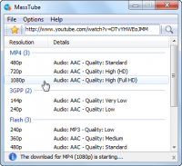 MassTube 12.9.6.338 screenshot. Click to enlarge!
