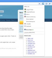 Max Site Info 1.0.2 screenshot. Click to enlarge!
