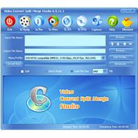 McFunSoft Video Convert/Split/Merge Studio 6.9.4.4 screenshot. Click to enlarge!