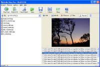 Media Show Pro 1.45 screenshot. Click to enlarge!